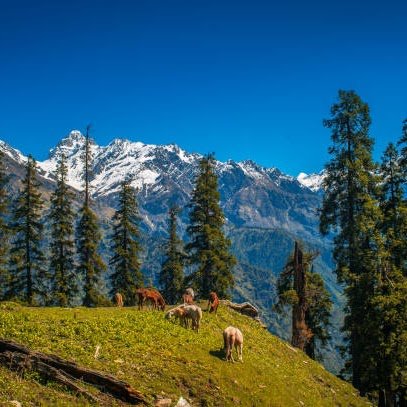 Kasol