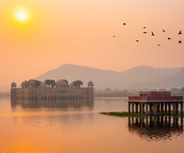 tranquil-morning-at-jal-mahal-water-palace-at-sunr-2026-03-10-00-01-23-utc
