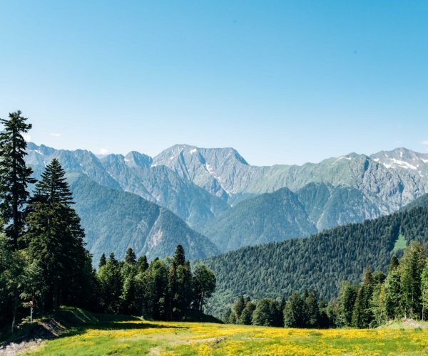 view-of-mountains-with-green-forest-landscape-2026-03-17-17-46-33-utc